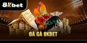 Sảnh cược quy tụ các chiến kê top đầu
