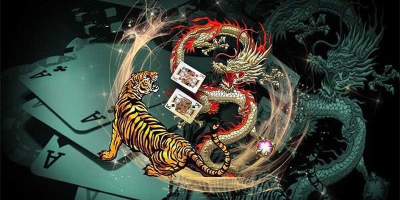 Cách chơi Rồng Hổ hiệu quả được đúc kết nhanh