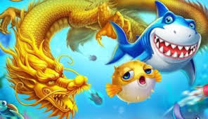 Hành trình đổi đời thú vị đang chờ bạn khám phá