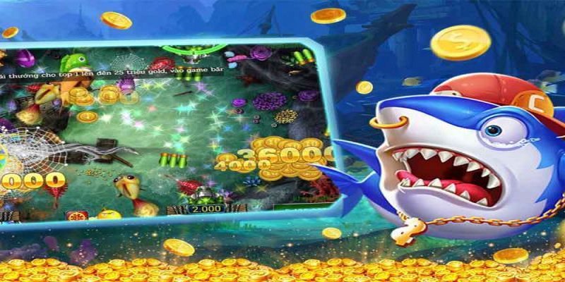 Các ghi nhớ khi săn cá online tại 8kbet