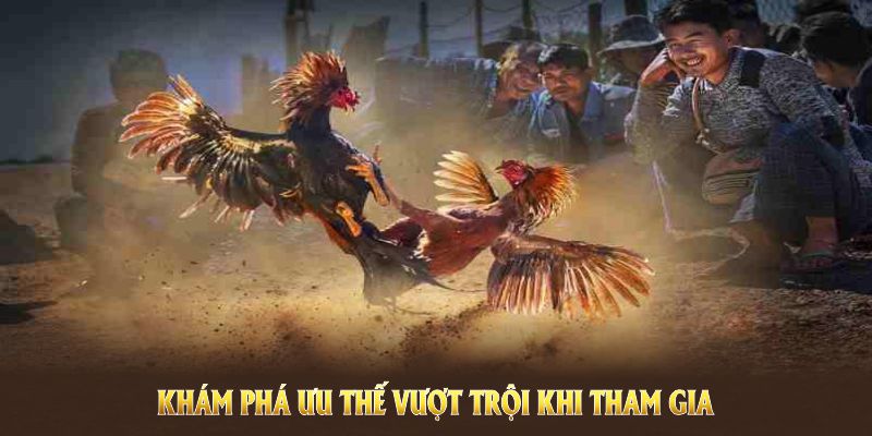 4 ưu điểm vượt trội của sân chơi đá gà 8kbet